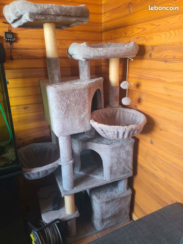 Arbre a chat (image 1)