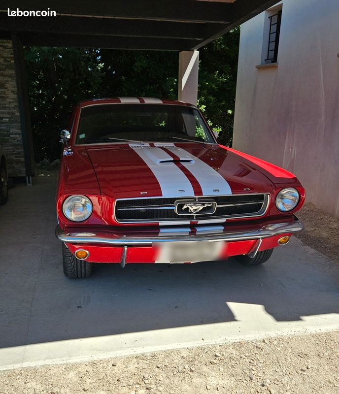 Mustang (image 1)