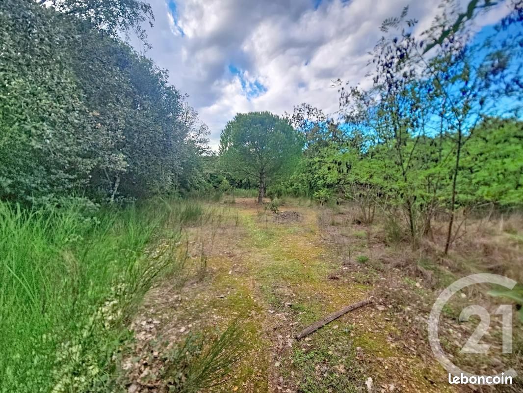 Terrain 8484 m² · à Reynès · 28 500 €