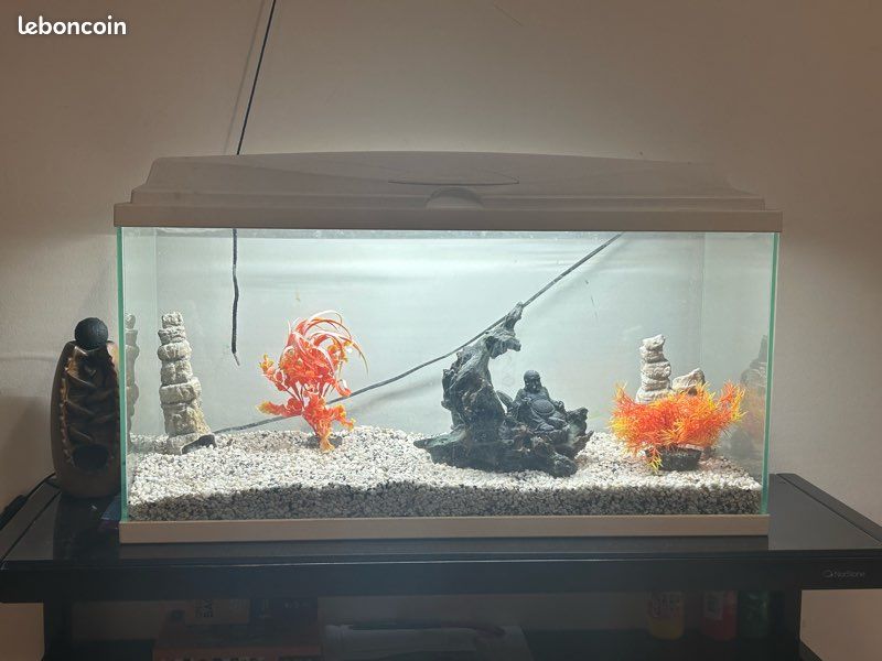 Aquarium (image 2)