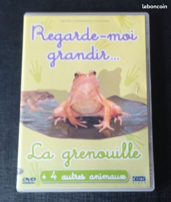 DVD Regarde-moi grandir...La Grenouille (image 1)