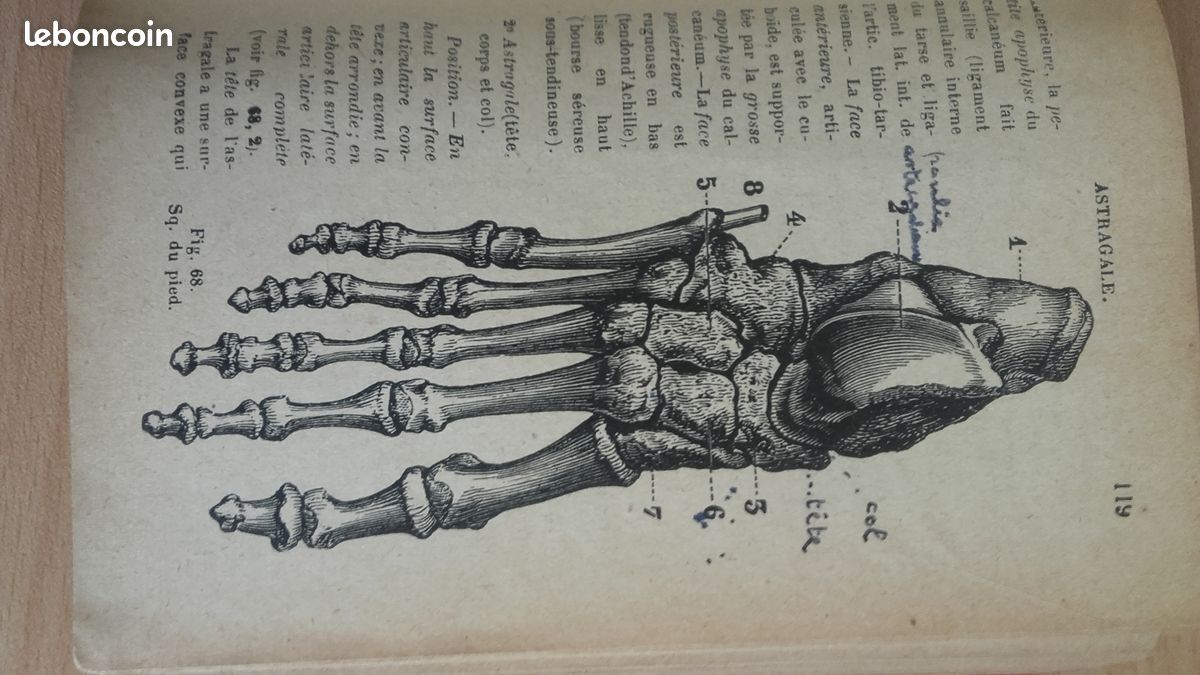 Livre ancien (1939) -Nouvel Abrégé d'Anatomie Descriptive (orné de 205 figures) (image 3)