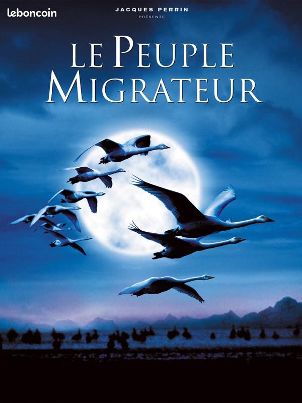 100 bons films en DVD (image 19)