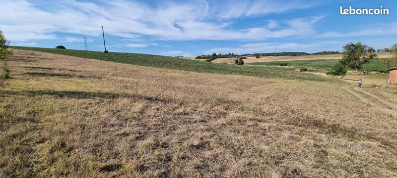 Magnifique Terrain constructible · à Beaumont-de-Lomagne · 35 000 €