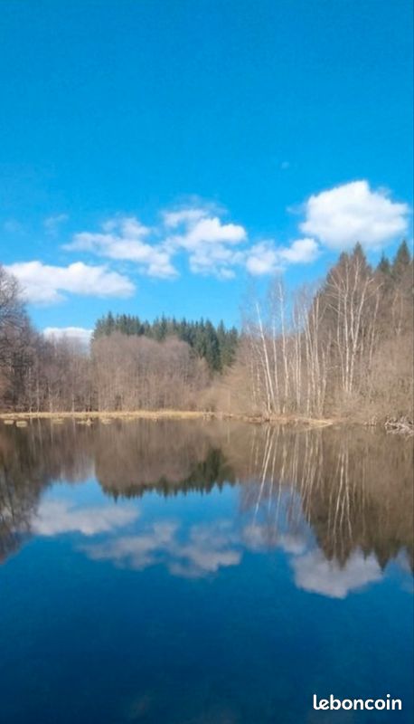 Étang de pêche et forêt · à Servance-Miellin · 78 000 €