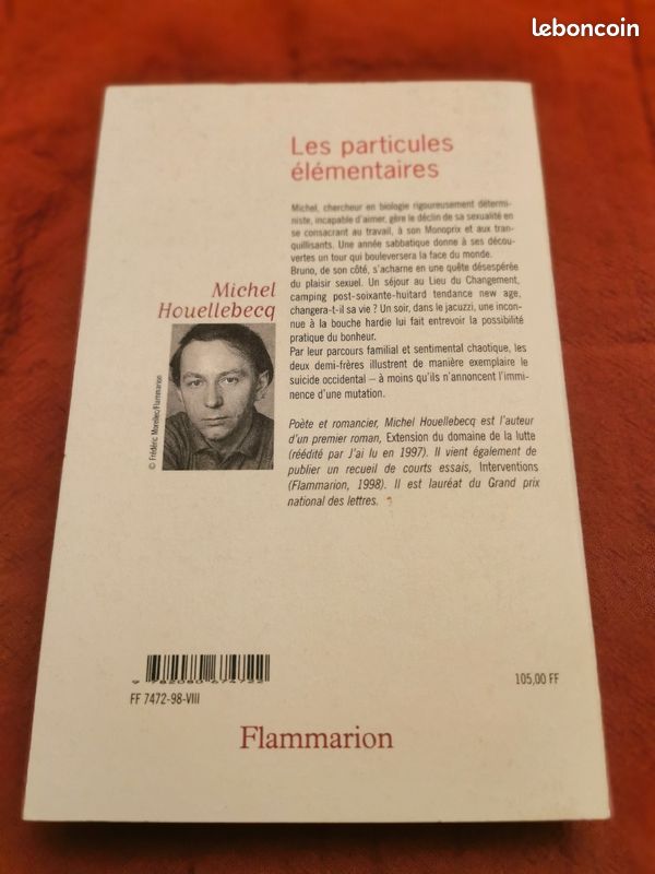 Les particules élémentaires (image 3)