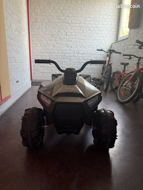 Quad boxer feber (image 3)