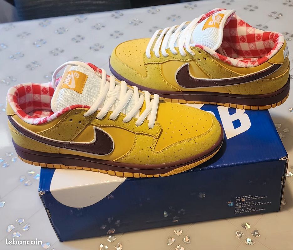 Hotel Kalinga Nike Zoom Pegasus 34 Shield Men's Dunk Sb Low