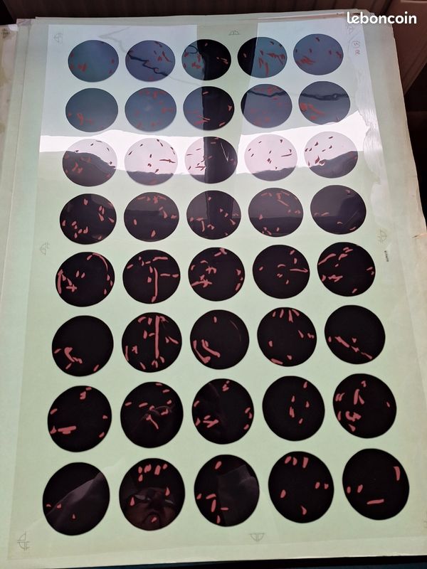 Serigraphie J&B (image 3)