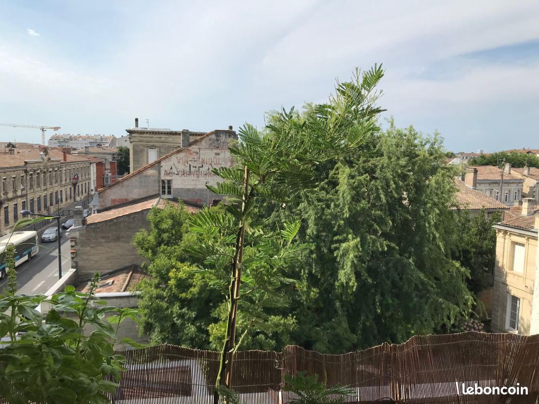 Appartement 1 pièce 24 m² · à Bordeaux · 24 m² · 125 000 €