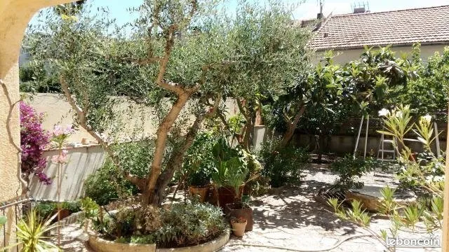 Annonce location Appartement marseille
