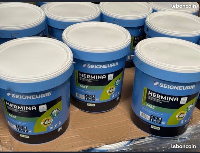 Peinture professionnelle HERMINA SEIGNEURIE (image 1)