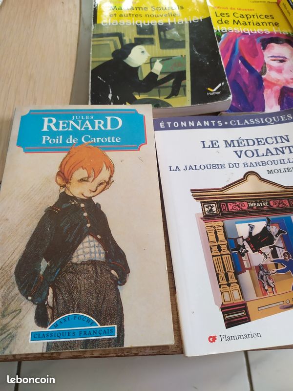 Livre littérature française (image 3)