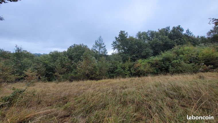 Terrain 1 615 m² Noailles