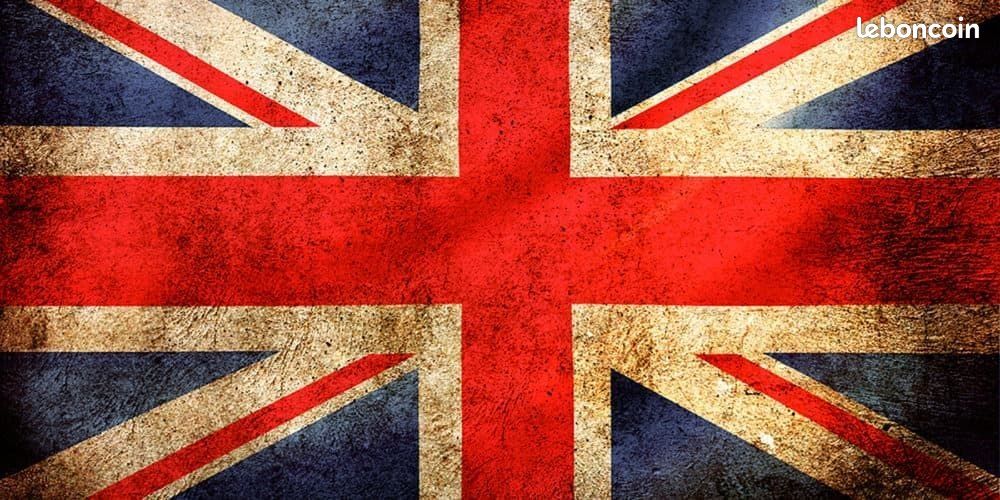 Leçons d'anglais avec enseignant diplômé, de la 6ème au Master 2 : préparation TOEIC, TOEFL, soutien scolaire tous niveaux, cours pour adultes et anglais professionnel (image 1)