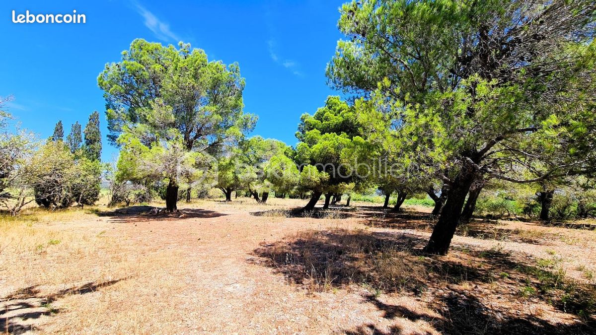 Maison 9 pièces 299 m² · à La Palme · 299 m² · 499 000 €