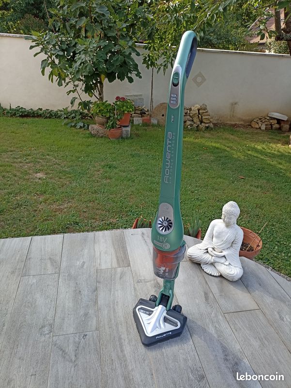 Aspirateur balai Rowenta Air Force Extrême Électroménager