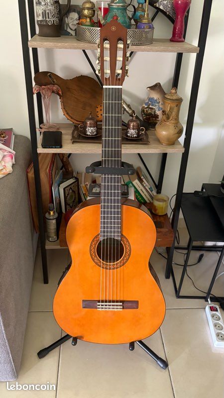 Guitare acoustique (image 1)