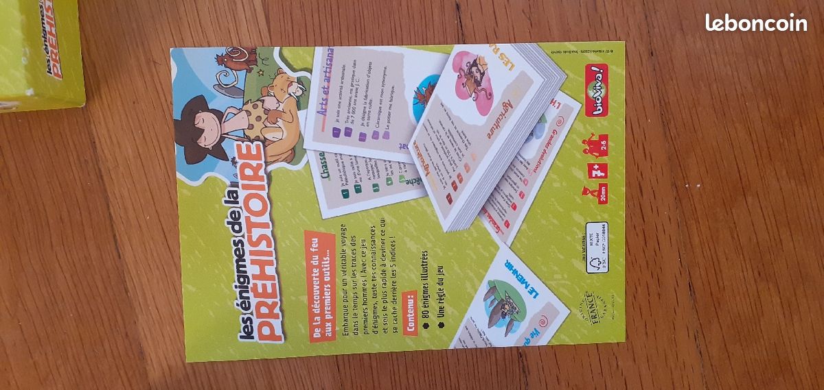 Jeu Les énigmes de la préhistoire (image 6)