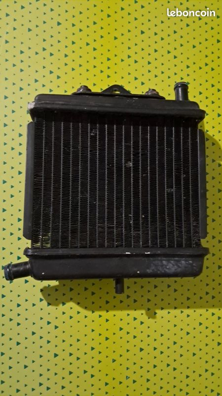Radiateur Pour Aprilia 125 Red Rose - Pièce Moto D'occasion - Marque Aprilia Italie