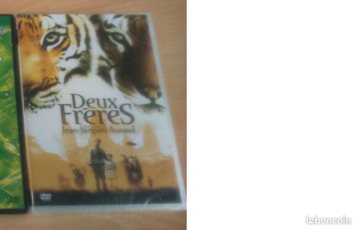 DVD Deux Frères (image 1)