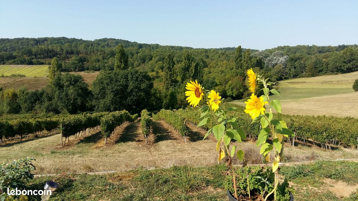 Super vue sur la vallée - Studio ideal single person/ couple ( babies welcome, we have a cot)/ or 2 friends (image 2)