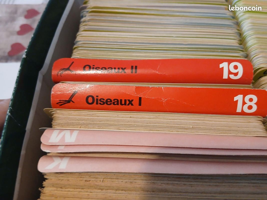 Biathlon : les Editions du Jura publient « L'histoire du biathlon aux