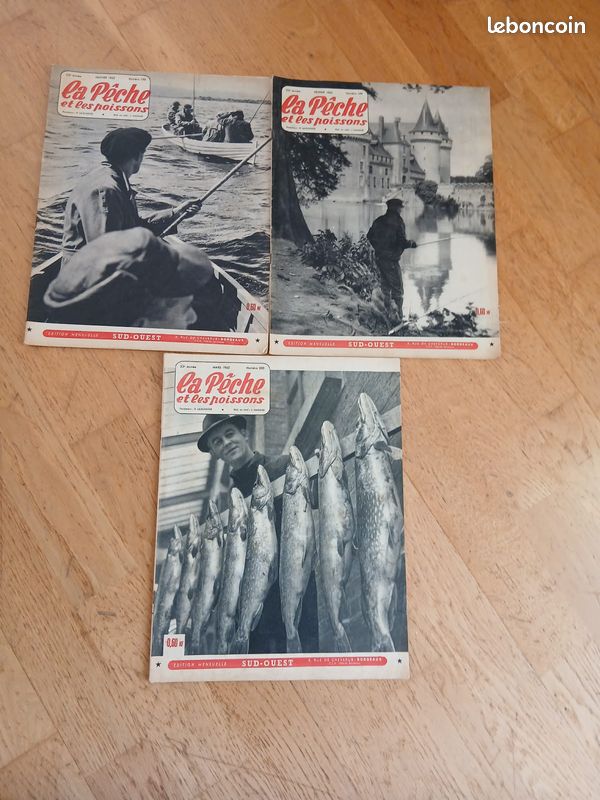 Réalisation d'une affiche publicitaire pour la Fédération de pêche dans