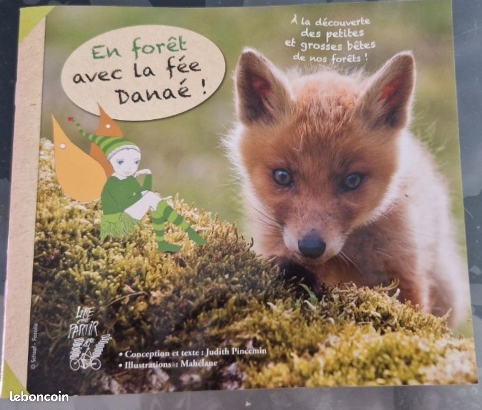 Livre : en forêt avec la fée Danaé (image 1)