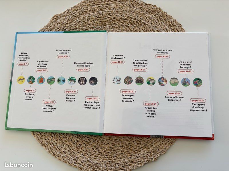 Livre 📕 mes p’tites questions, dès 7 ans, les loups, pages glacées, excellent état (image 7)