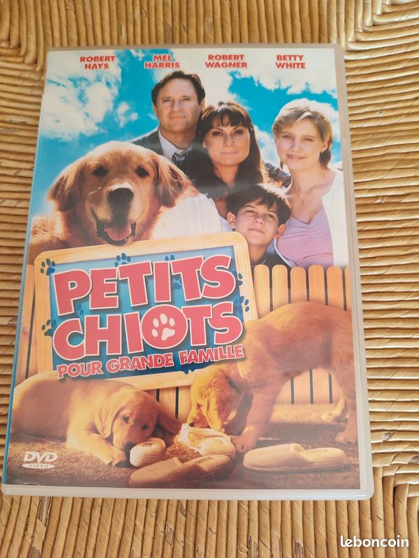 DVD Petit chiots pour grande famille (image 1)