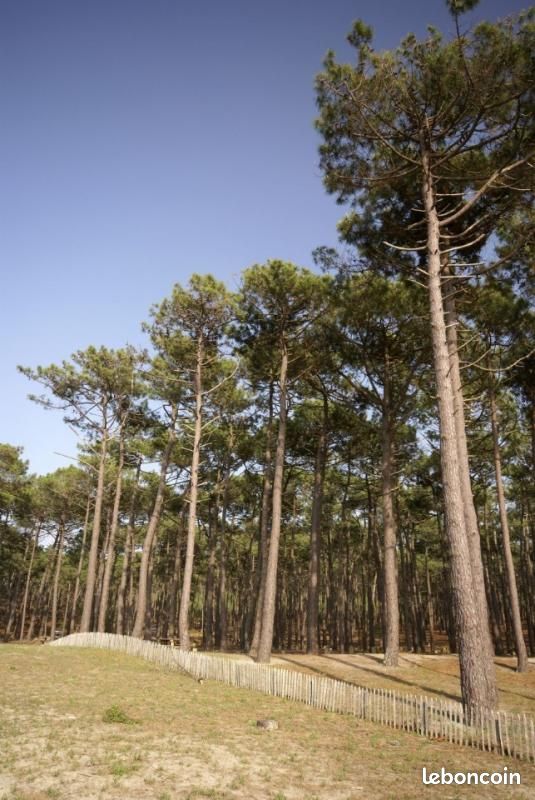 Terrain 650 m² Gujan Mestras · à Gujan-Mestras · 371 000 €
