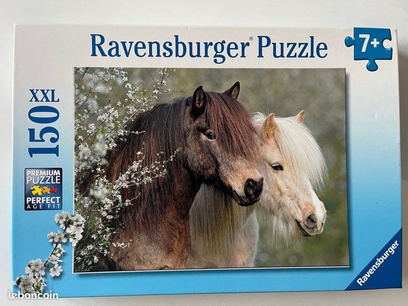 Puzzle (image 1)