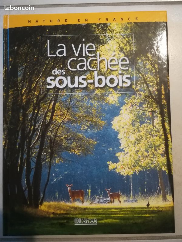 La vie cachée des sous bois (image 1)