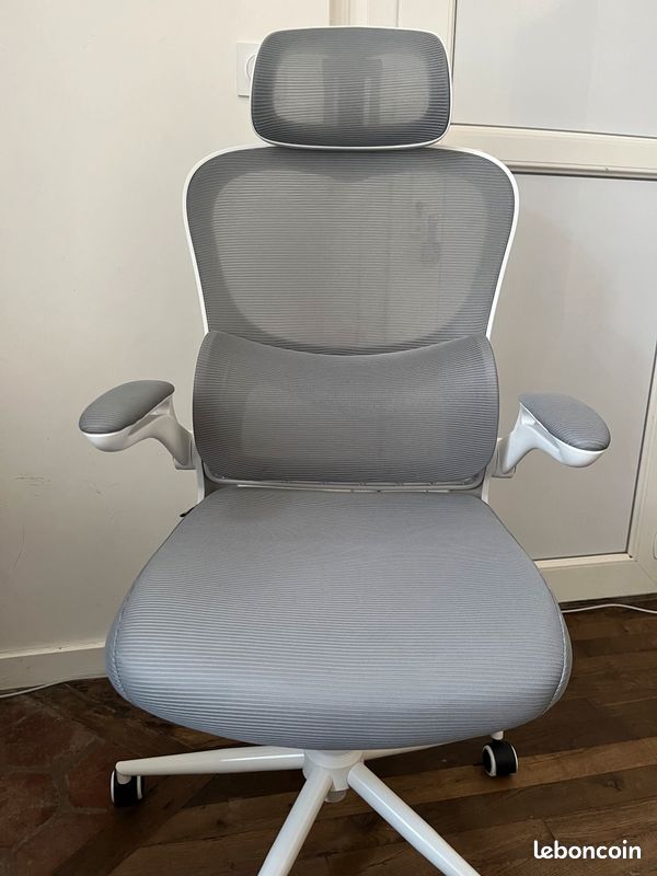 Fauteuil ergonomique bureau/gaming (image 1)