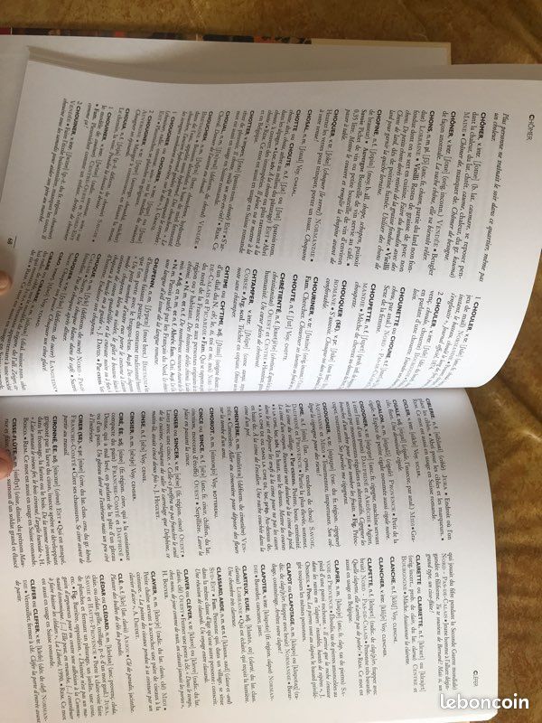 Le nouveau Littré édition 2007 (image 8)