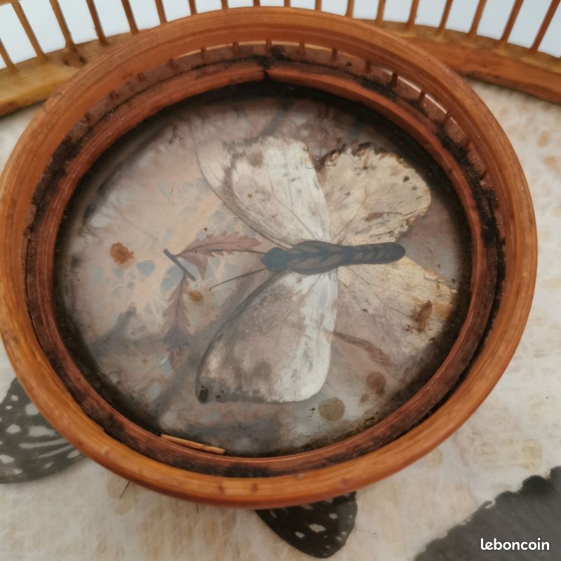 Plateau en rotin. Papillons. 4 sous verres (image 8)