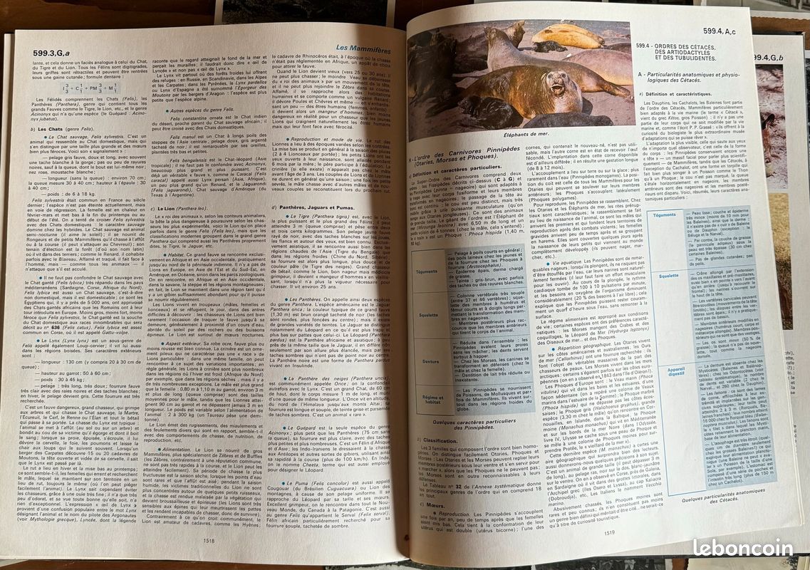 Bordas Encyclopédique - Zoologie (image 2)