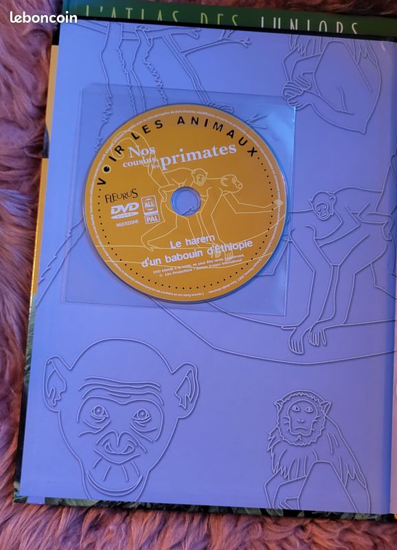 Nos cousins, les primates (image 2)