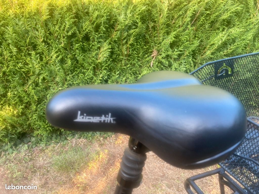 Vélo à assistance électrique Kalkhoff Agattu 7 (image 15)
