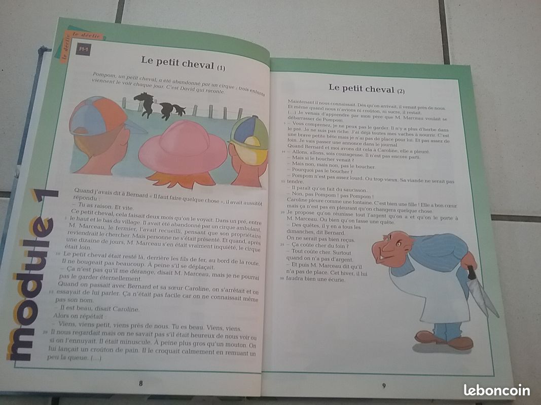 Livre de lecture / ce2 (image 3)