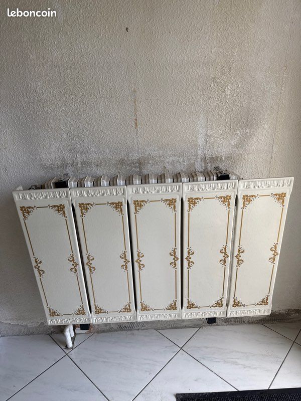 Cache radiateur en faillence (image 1)