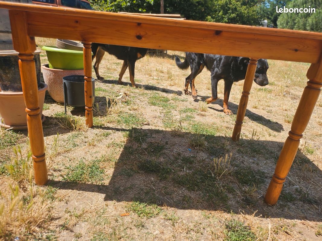 Table de cuisine / repas en bois — Idéal projet de rénovation (Relooking / Ponçage) (image 3)