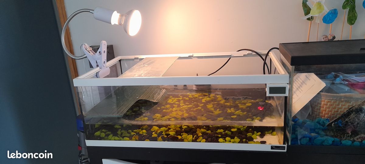 Aquarium pour tortue avec lampe pompe et chauffage (image 1)