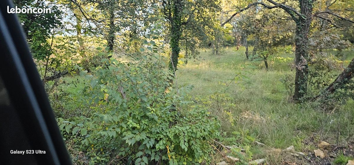 Terrain zone artisan (image 1)