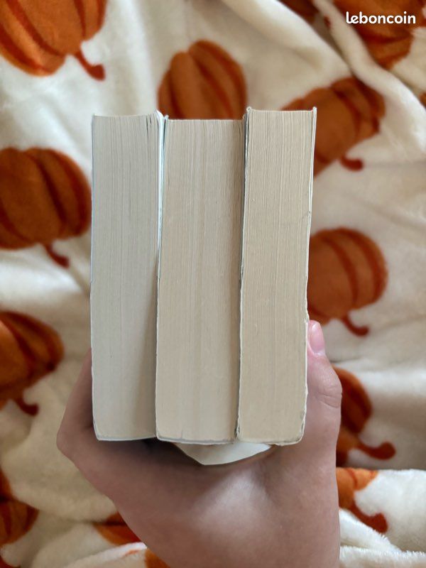 Lot livres new romance universitaire (image 8)