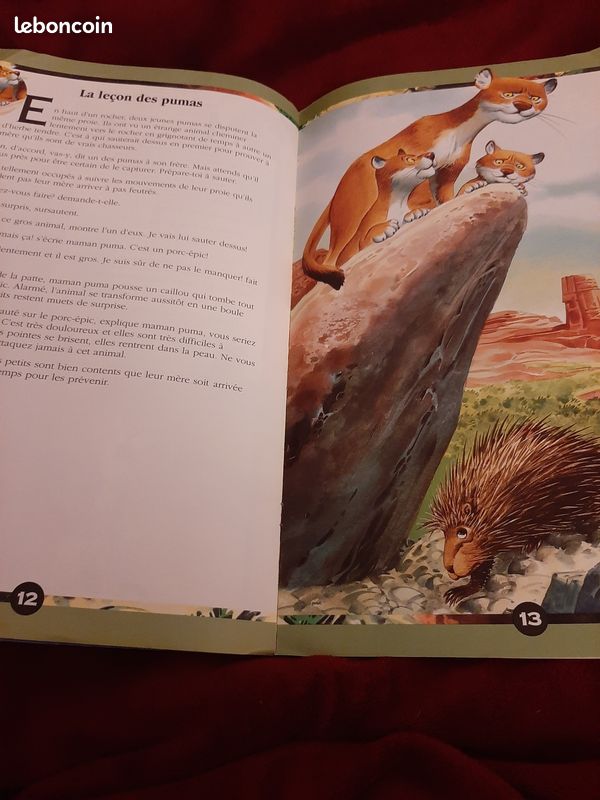 Livre pour enfants - Le monde des animaux (image 3)