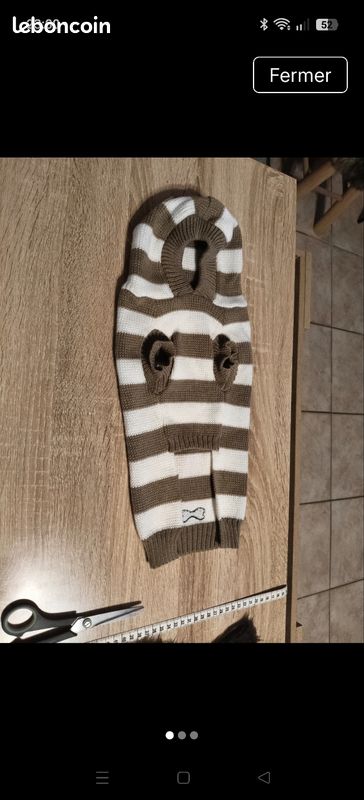 Pull laine petit chien (image 2)
