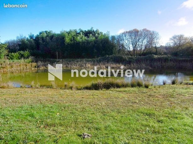 Terrain 7248 m² LE LION-D'ANGERS