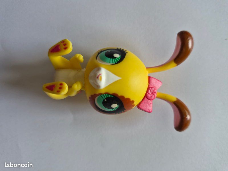 Lot 16 pet shop (image 2)